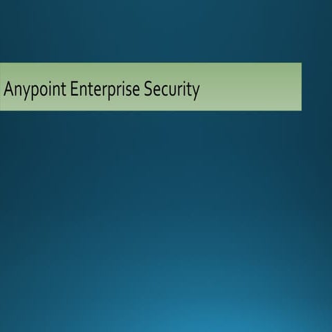 Mule anypoint enterprise security