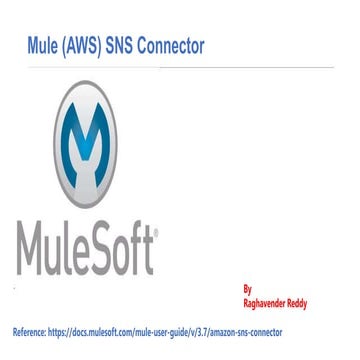 Mule (aws)sns