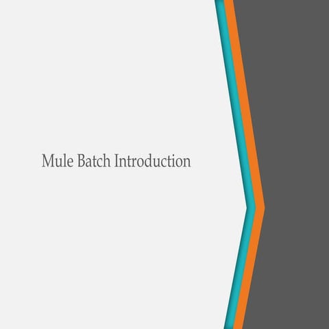 Mule batch introduction