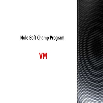 Mule champ