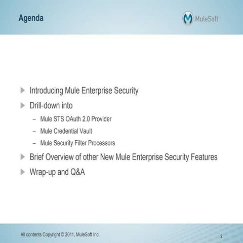 Mule enterprise security