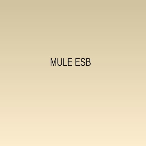 Mule esb