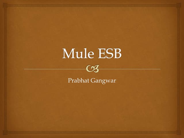 Mule esb
