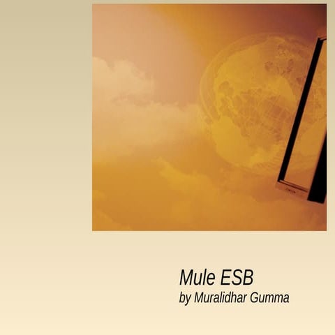 Mule ESB