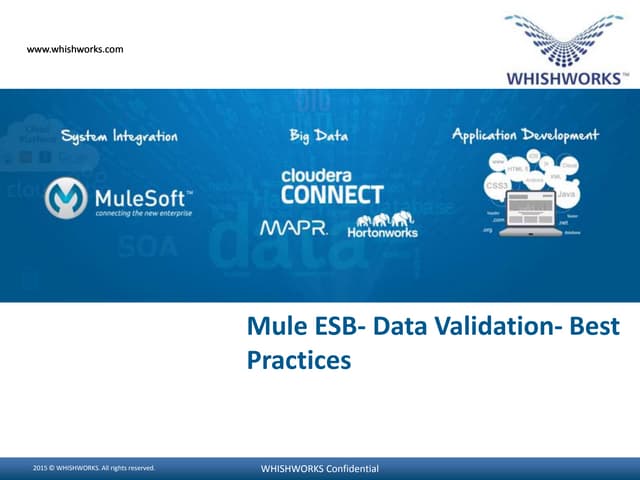 Mule ESB-  Data Validation- Best Practices