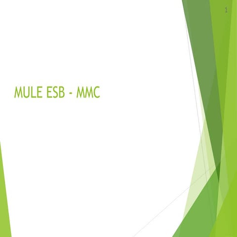Mule esb mmc