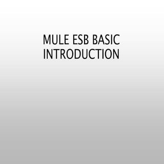 Mule esb basic introduction