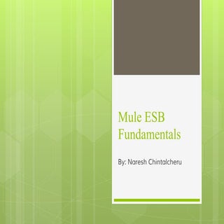 Mule ESB Fundamentals