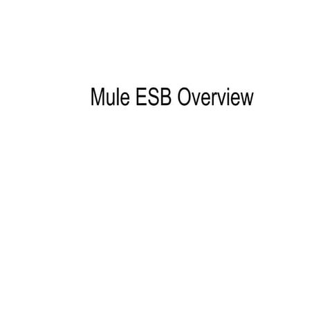 Mule esb overview