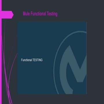 Mule functional testing