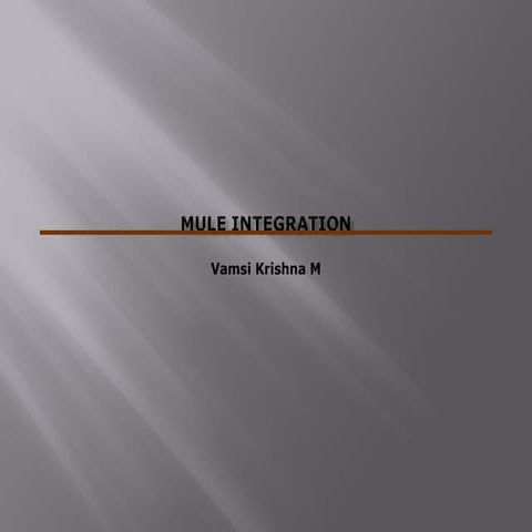 Mule integration