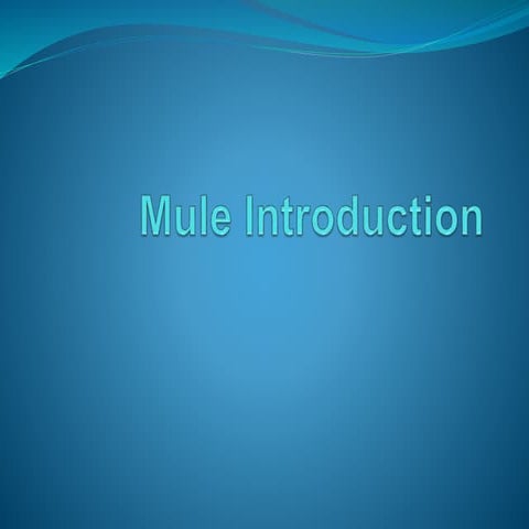 Mule introduction
