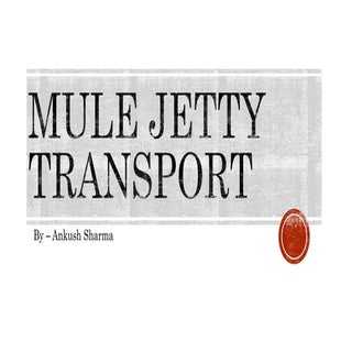 Mule Jetty transport