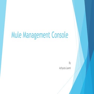 Mule management console