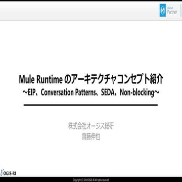 Mule Runtime のアーキテクチャコンセプト紹介