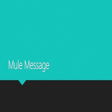 Mule message