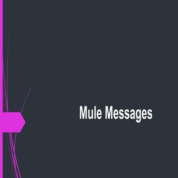 Mule messages and transformers
