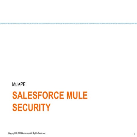 Mule pe   salesforce mule security