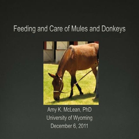 PowerPoint: Moral of the Day: The Farmer and the Donkey | PPSX