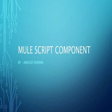 Mule Script Component