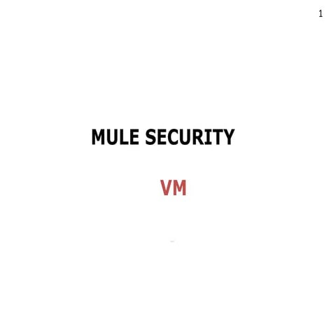 Mule security