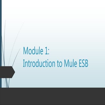 Introduction to Mule ESB