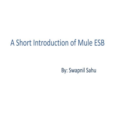 A Short Introduction of Mule ESB