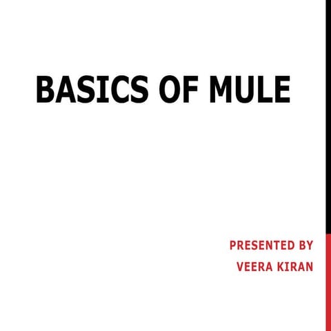 Mule - beginners guide | PPTX
