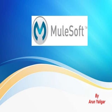 Mule soft Basics