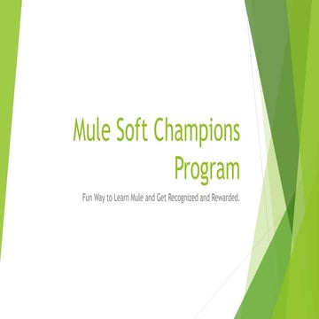 MuleSoft champions program