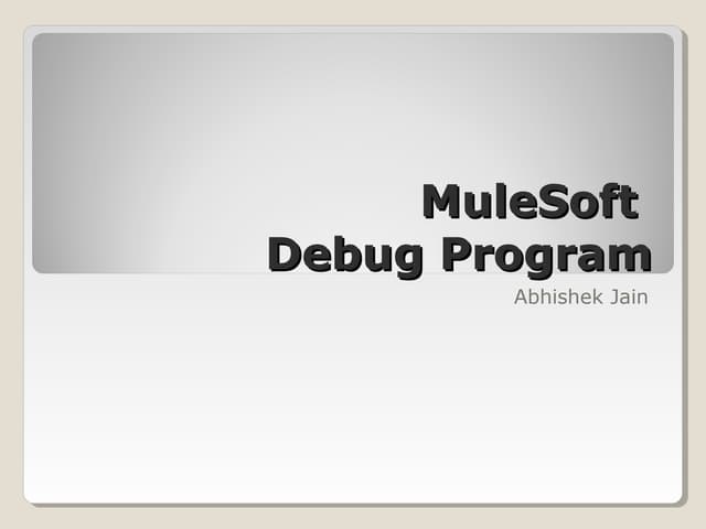Mule soft debugprogram