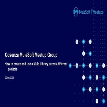 MuleSoft Meetup - Mule Library