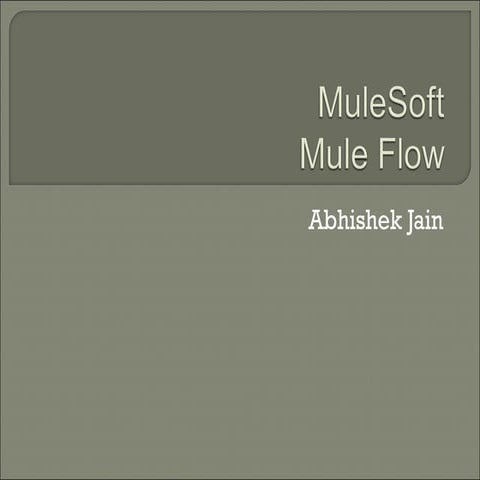 Mule soft program