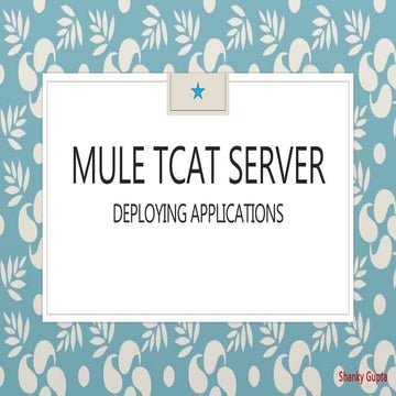 Mule tcat server - deploying applications