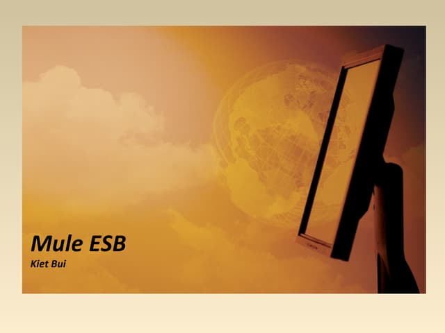 Mule ESB