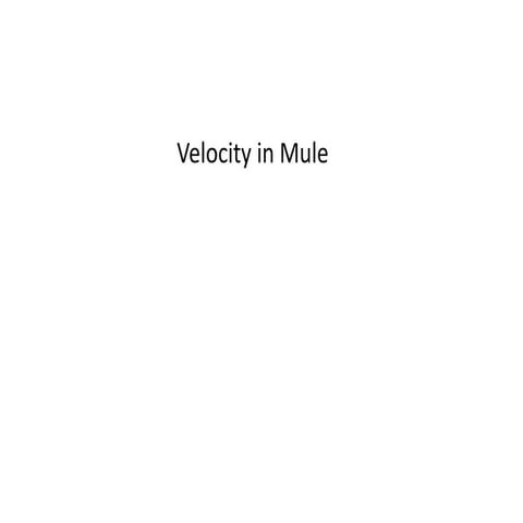 Mule with velocity
