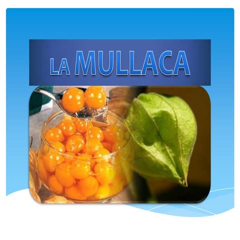 Mullaca | PPTX