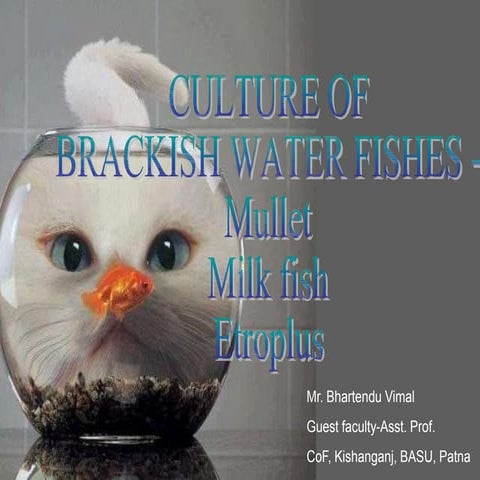 Mullet-Milk-fish-and-Pearl-Spot-Culture.pptx