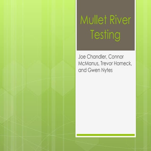 Mullet river testing1