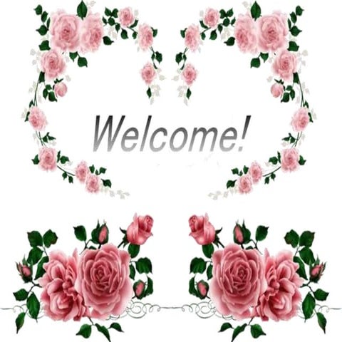 Multiple cropping in Arecanut By- Shivanand M.R