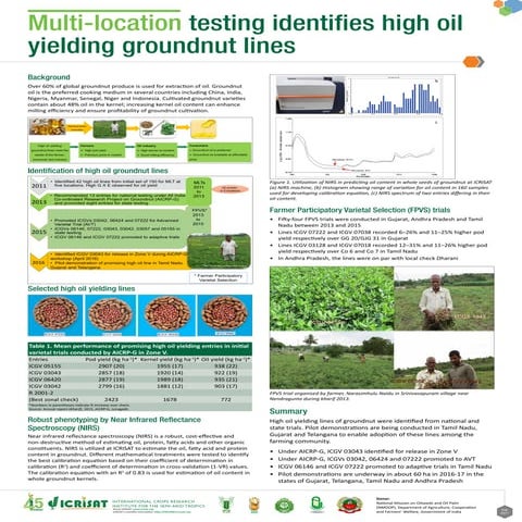 Multi-location testing identifies high oil yielding groundnut lines