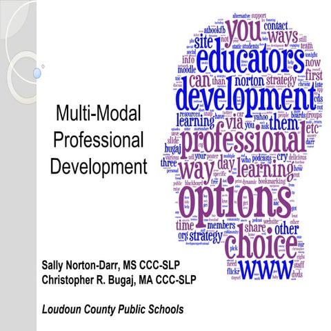 Multi-Modal Professional Development