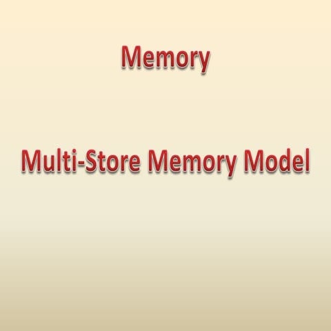 Multi store model of memory