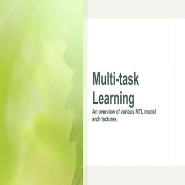 Multi tasking learning | PPTX