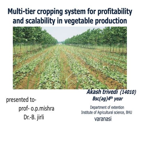 Multi tier cropping system