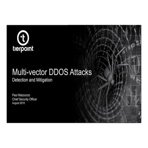 Luncheon 2015-08-20 - Multi-vector DDOS Attacks Detection and Mitigation by P...