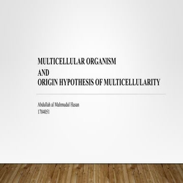 Multicellular Organism And Origin Hypothesis Of Multicellularity
