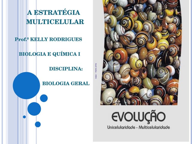 Multicelularidade