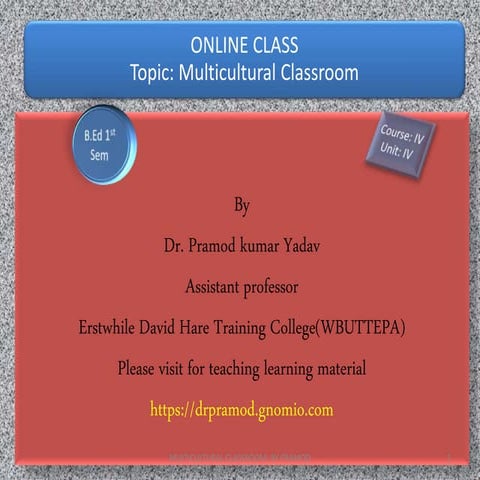 Multicultural Class.pptx