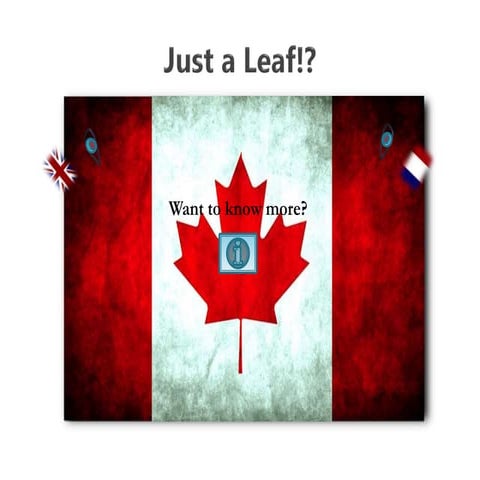 Multicultural Societies